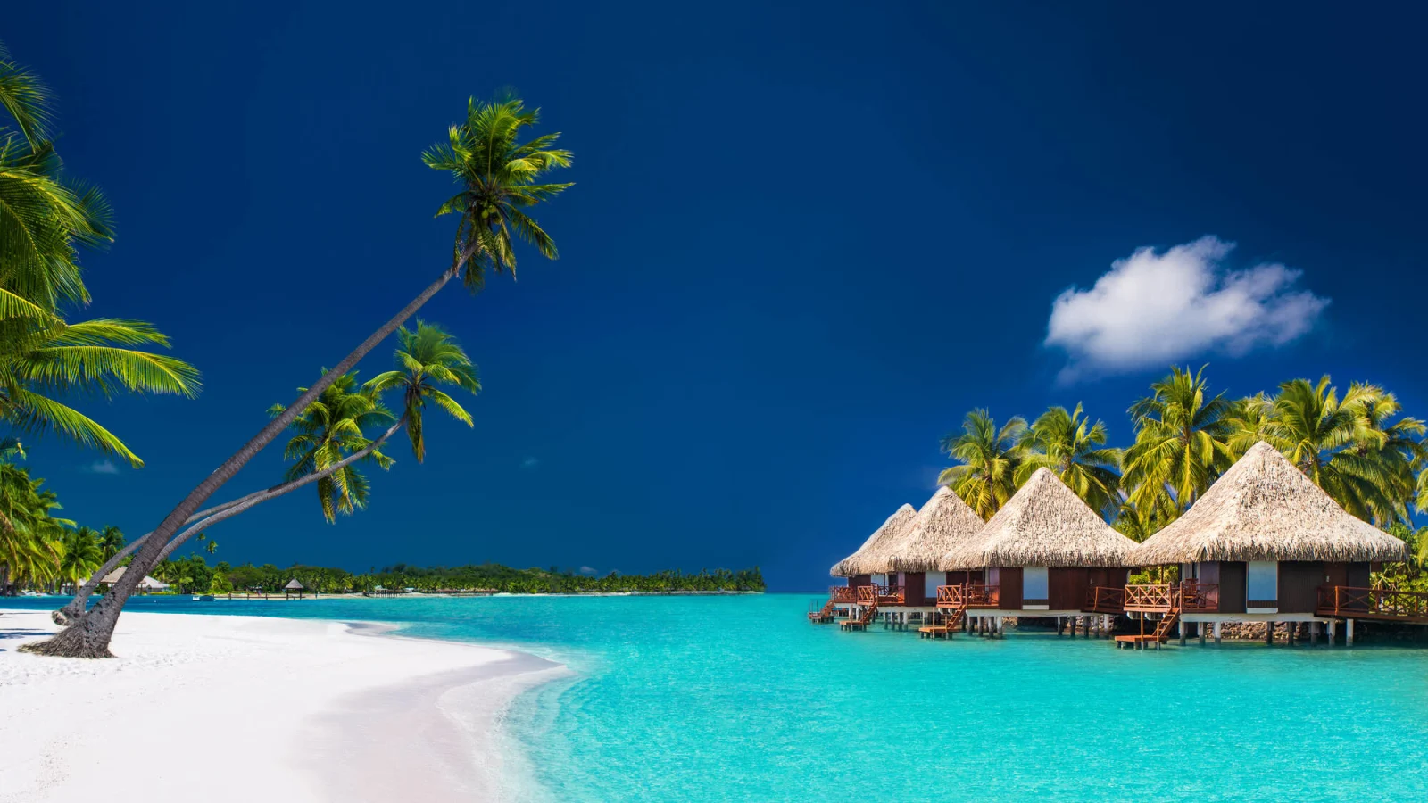 dream vacation spots