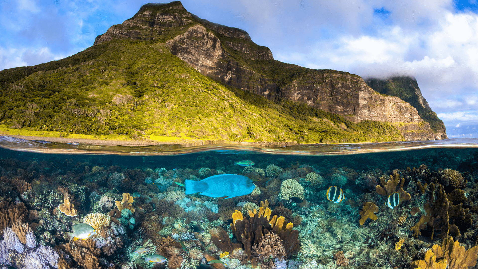 lord howe island