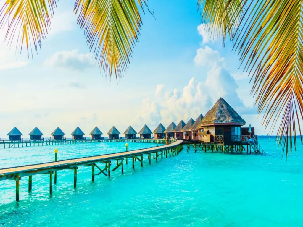 What new India–Maldives tourism initiatives launched in 2025 What new India–Maldives tourism initiatives launched in 2025